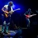 Mimicking Birds at the Paramount Theater (Photo: Alex Crick)