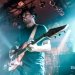 Periphery at the Showbox (Photo: Mike Baltierra)