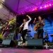 Brandi Carlile at Woodland Park Zoo