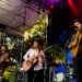 Brandi Carlile at Woodland Park Zoo