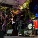 Brandi Carlile at Woodland Park Zoo