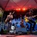 Brandi Carlile at Woodland Park Zoo