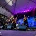 Brandi Carlile at Woodland Park Zoo