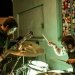 The Skyemonkey at EMI Halloween Bash (Photo by Christine Mitchell)