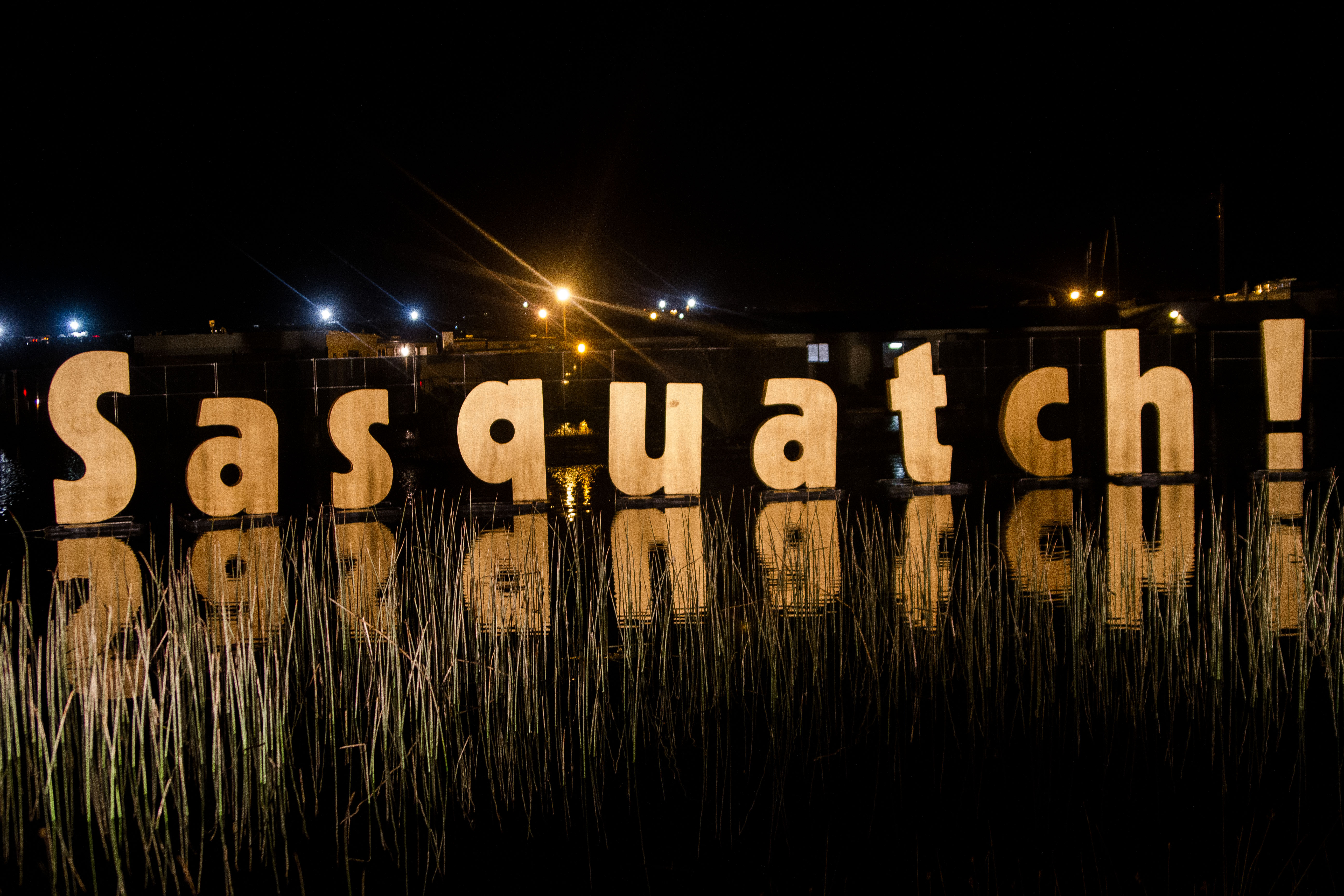 Sasquatch! 2013 Day 4: Photos Xander Deccio